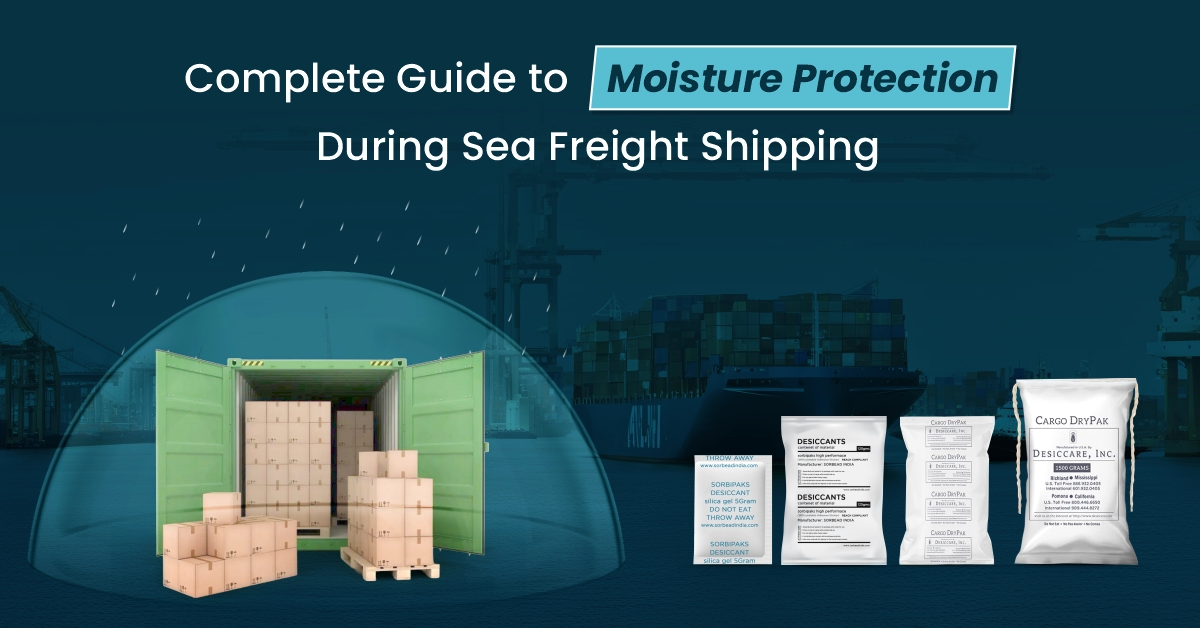 Complete Guide to Moisture Protection During Sea Freight Shipping
