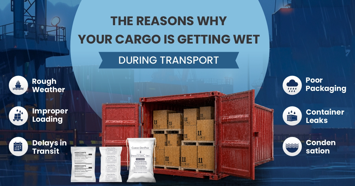 the reasons why your cargo is getting wet during transport